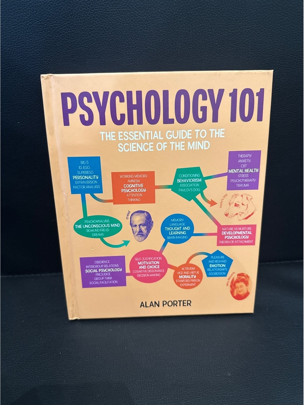 Psychology 101: The Essential Guide to the Science of the Mind by Alan Porter